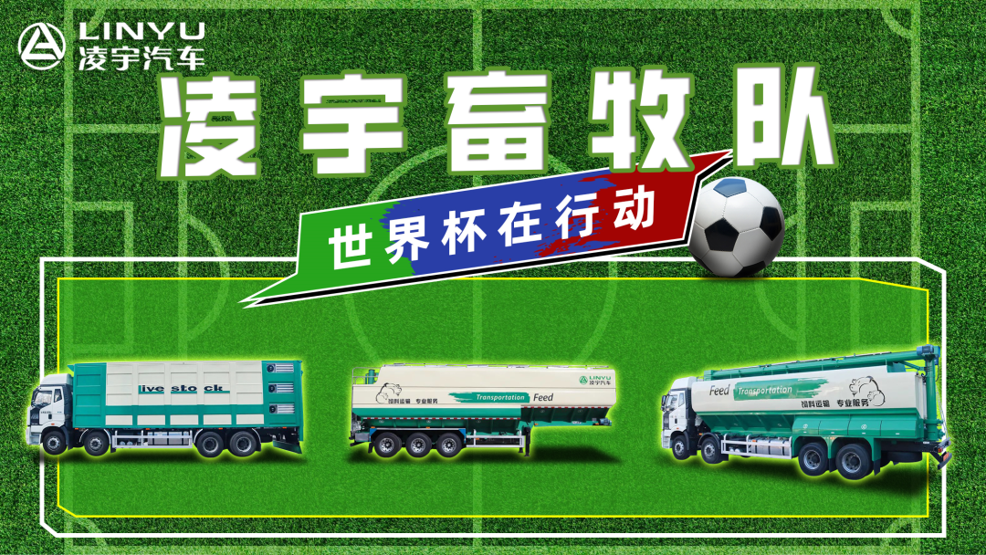 奪冠世界杯！你注意到這支球隊了嗎？